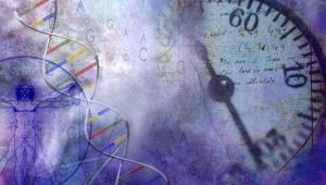 Beyond Darwin: understanding cancer persister cells
