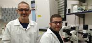 Genetically Encoded Sensor Isolates Hidden Leukemic Stem Cells