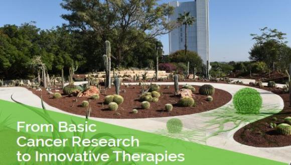 From Basic Cancer Research to Innovative Therapies