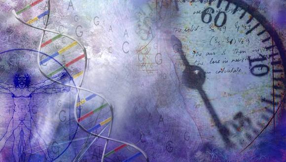 Immunological Responses Against Glycosylated Biotherapeutics and Biodevices in Humans
