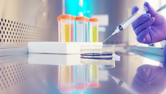 Targeting Cancer Glycosylation with CAR-T Cells for Therapy Responses